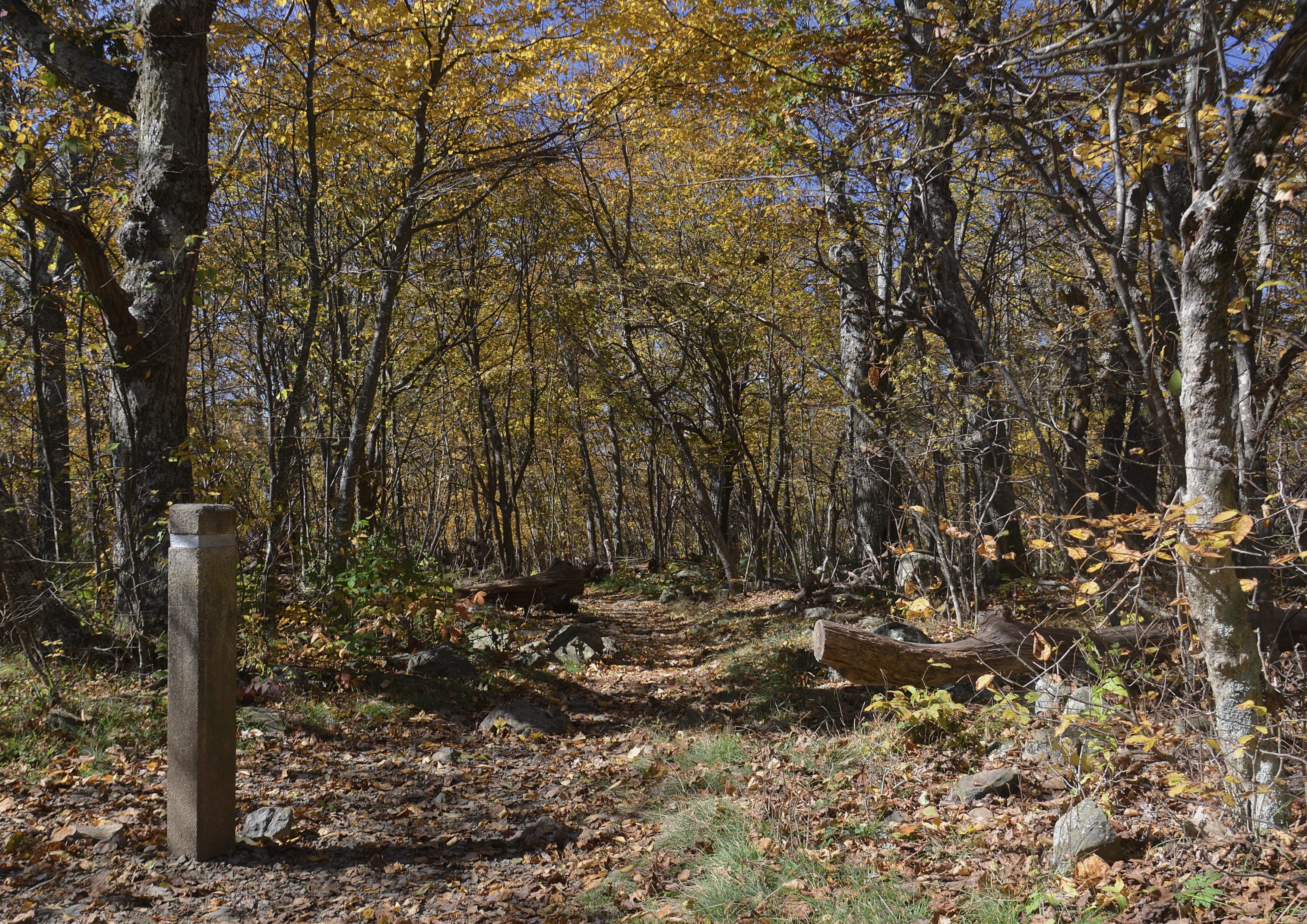 Tuscarora Trail landscape certificate route preview in United States