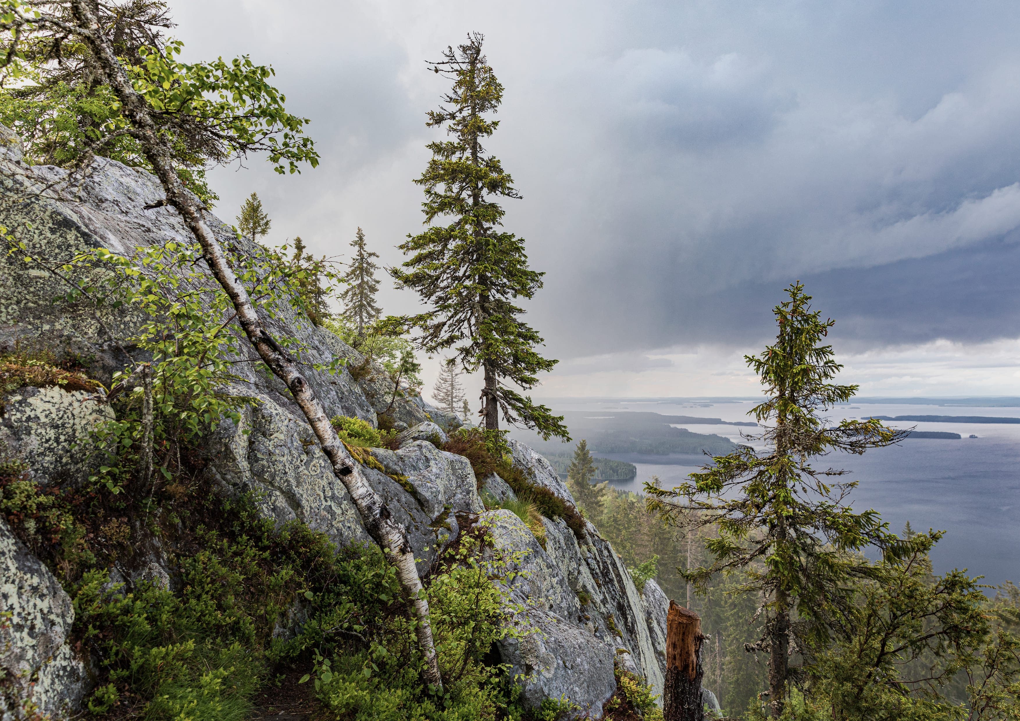 UKK Trail landscape certificate route preview in Finland