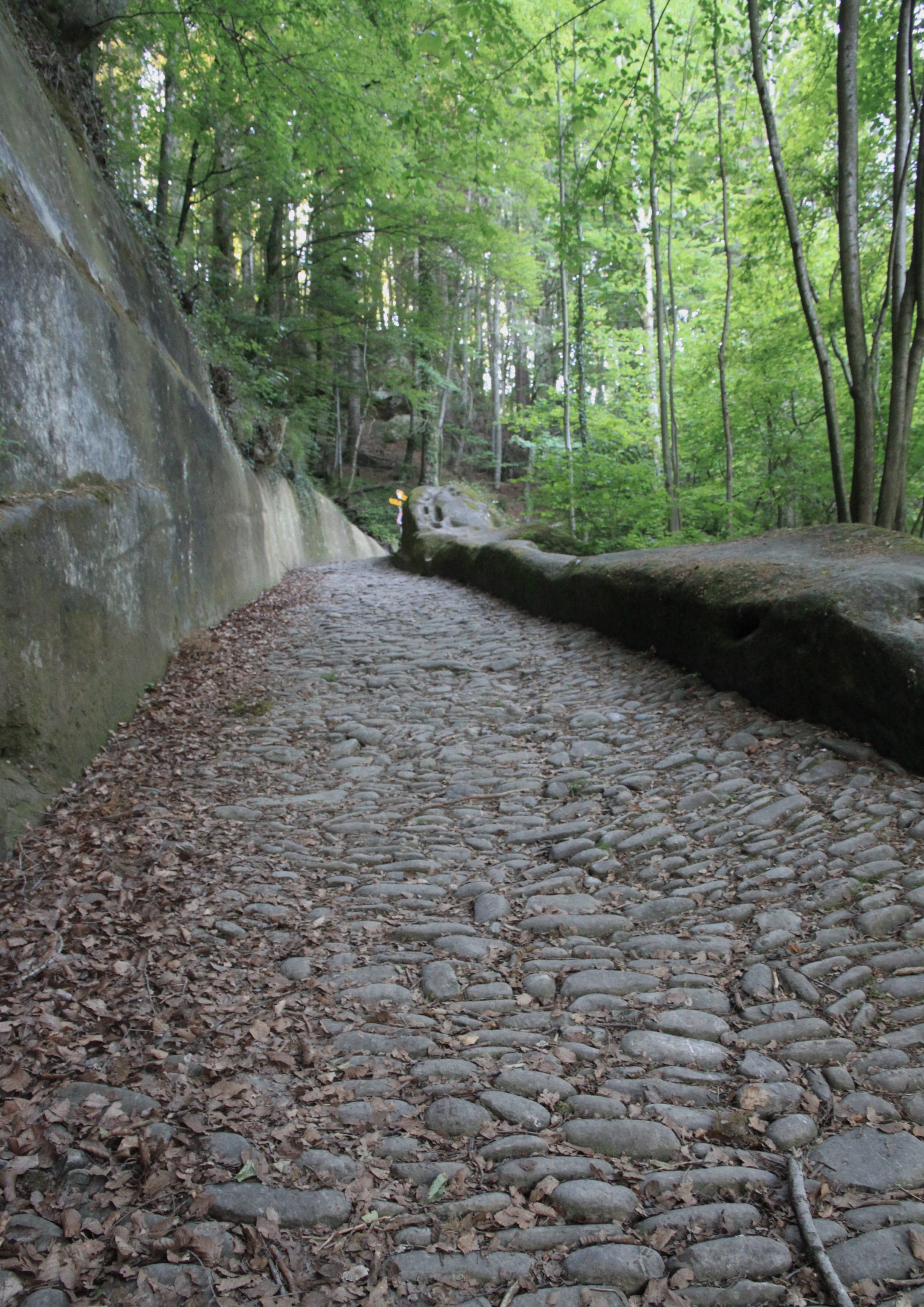 Via Jacobi landscape certificate route preview in Switzerland