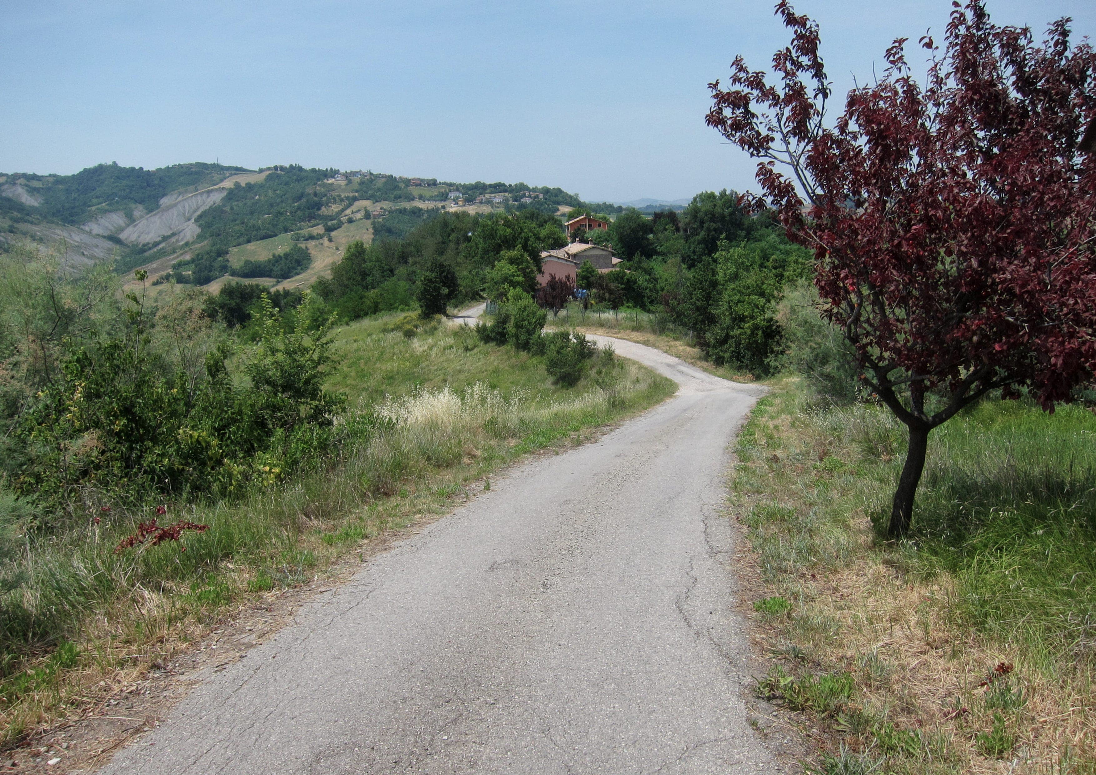 Via Vandelli landscape certificate route preview in Italy