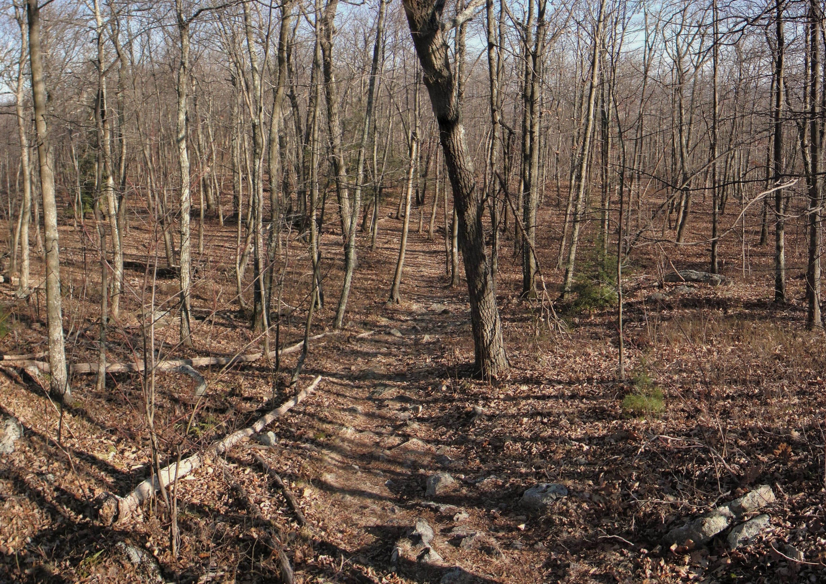 Appalachian Trail landscape certificate route preview in United States
