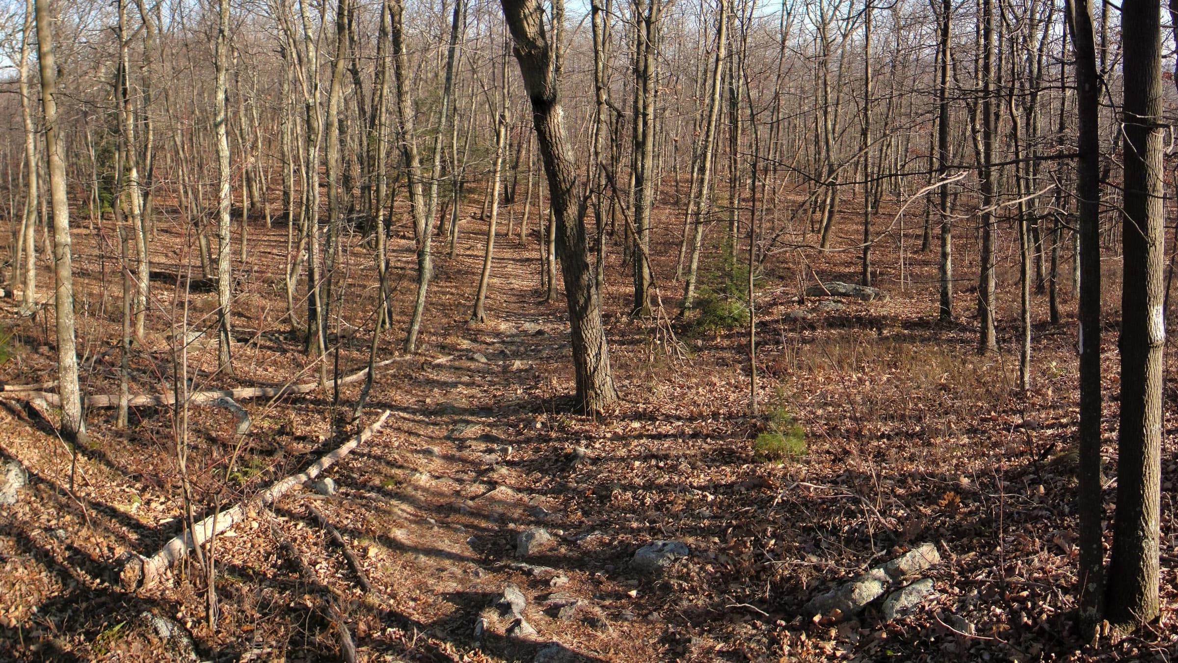 Appalachian Trail landscape certificate route preview in United States