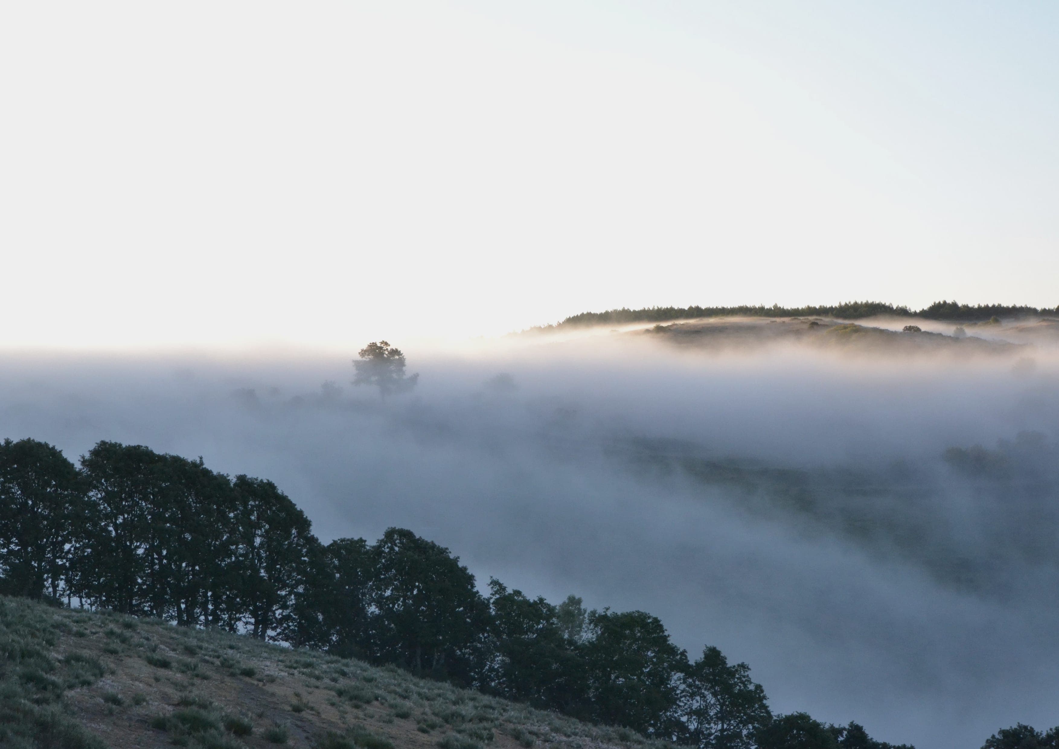 Camino Francés landscape certificate route preview in Spain and France