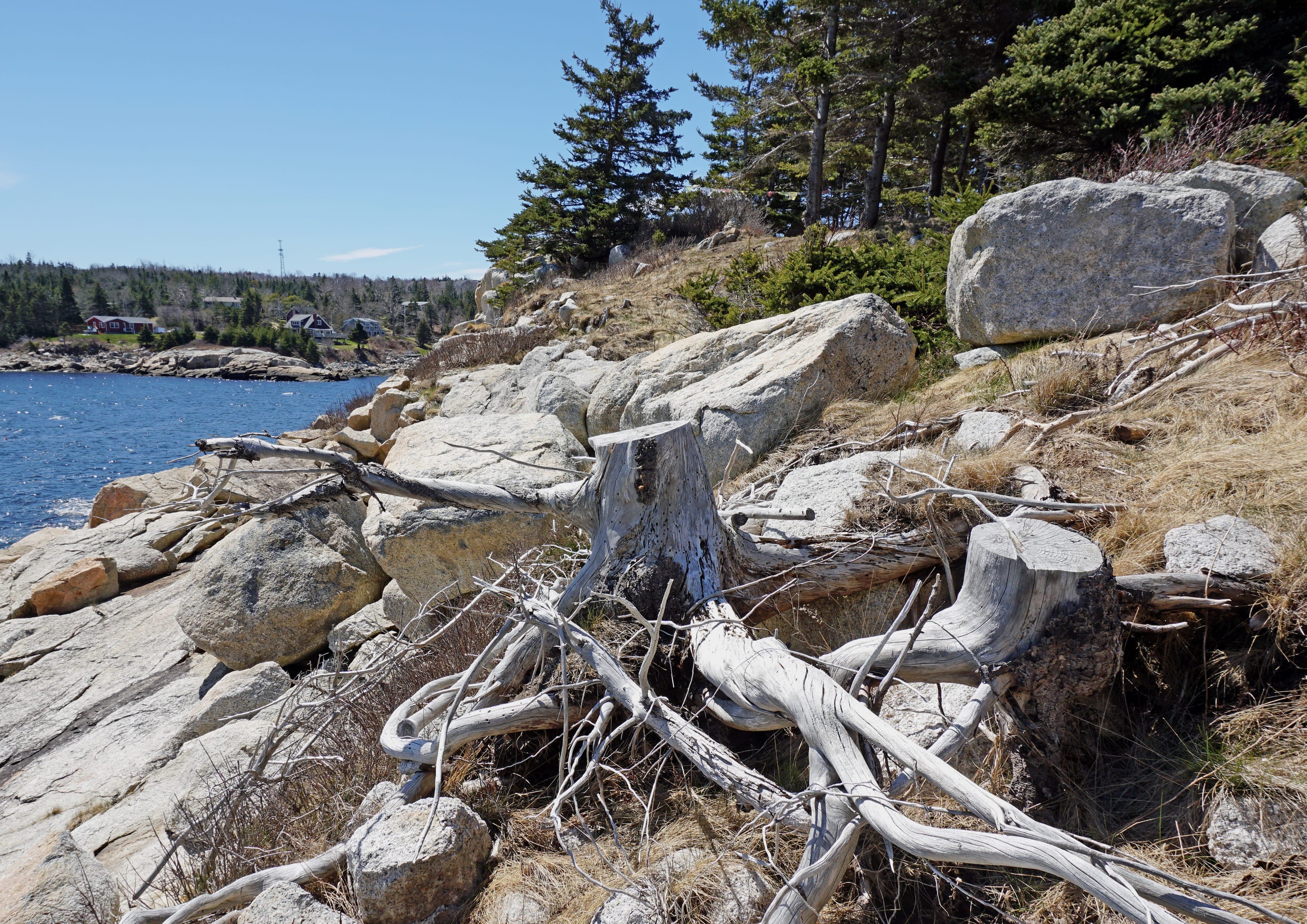 Cape Chignecto Coastal Trail landscape certificate route preview in Canada