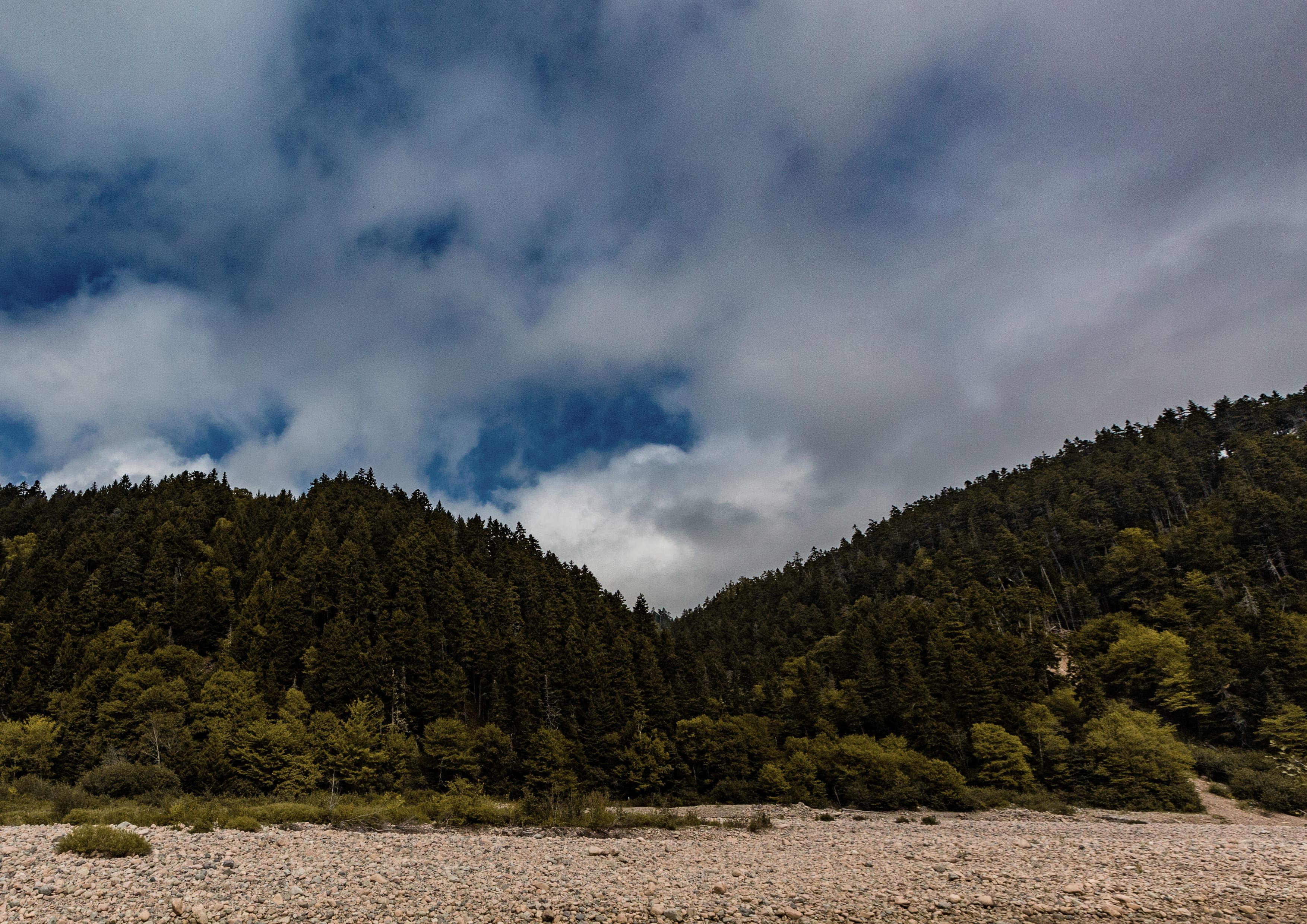 Fundy Trail Parkway Footpath landscape certificate route preview in Canada