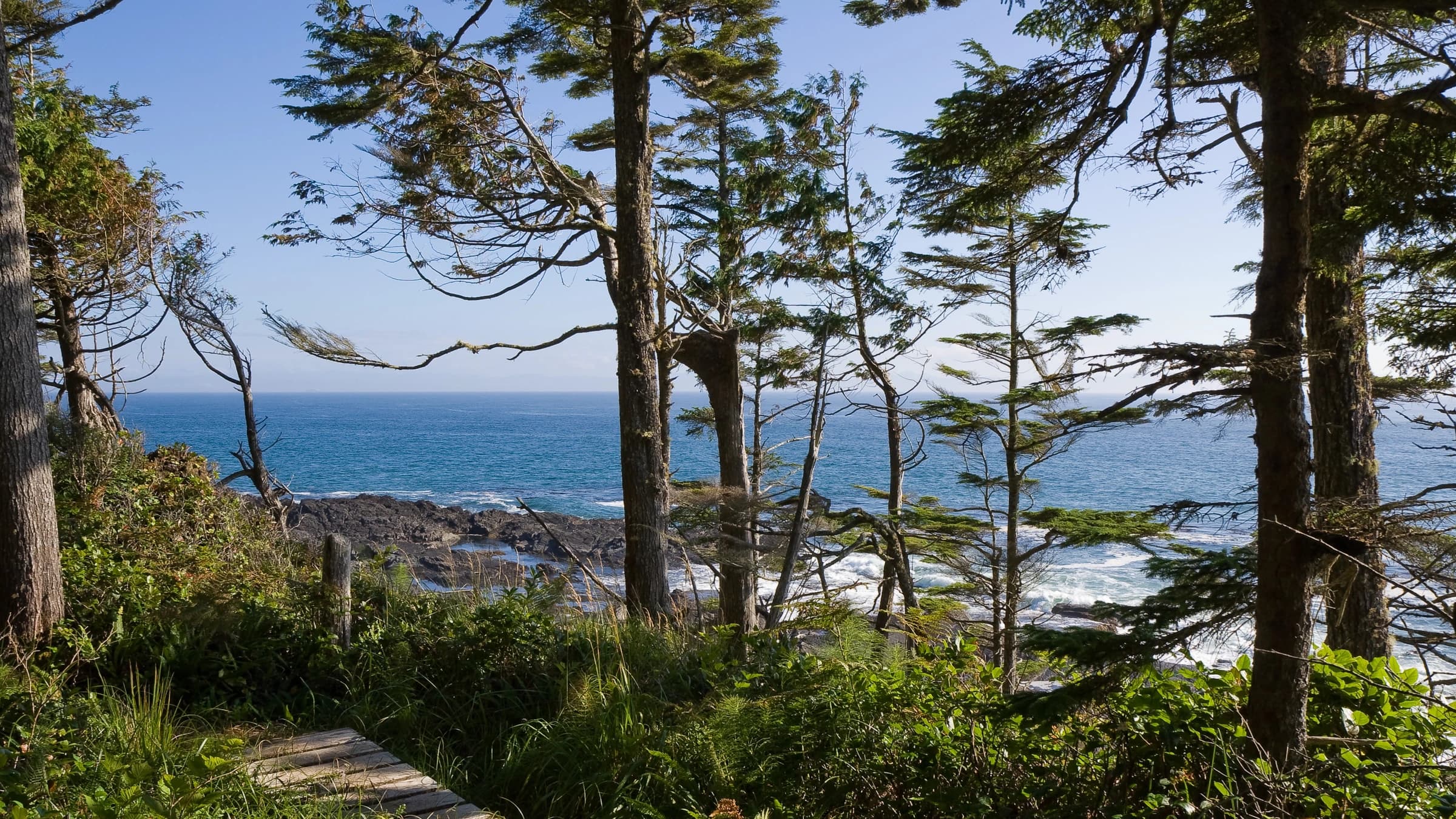 Juan de Fuca Trail landscape certificate route preview in Canada