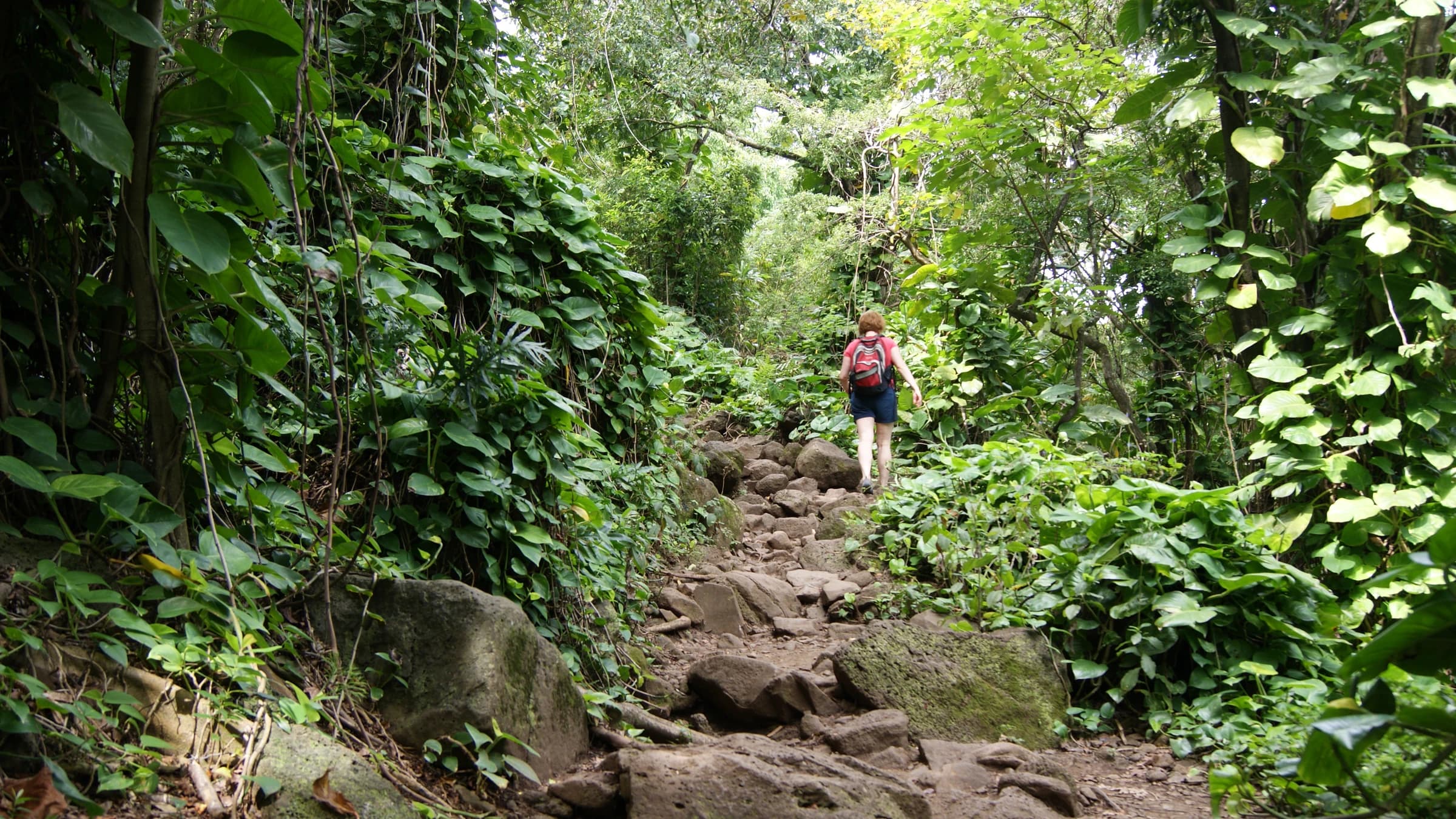 Kalalau Trail landscape certificate route preview in United States