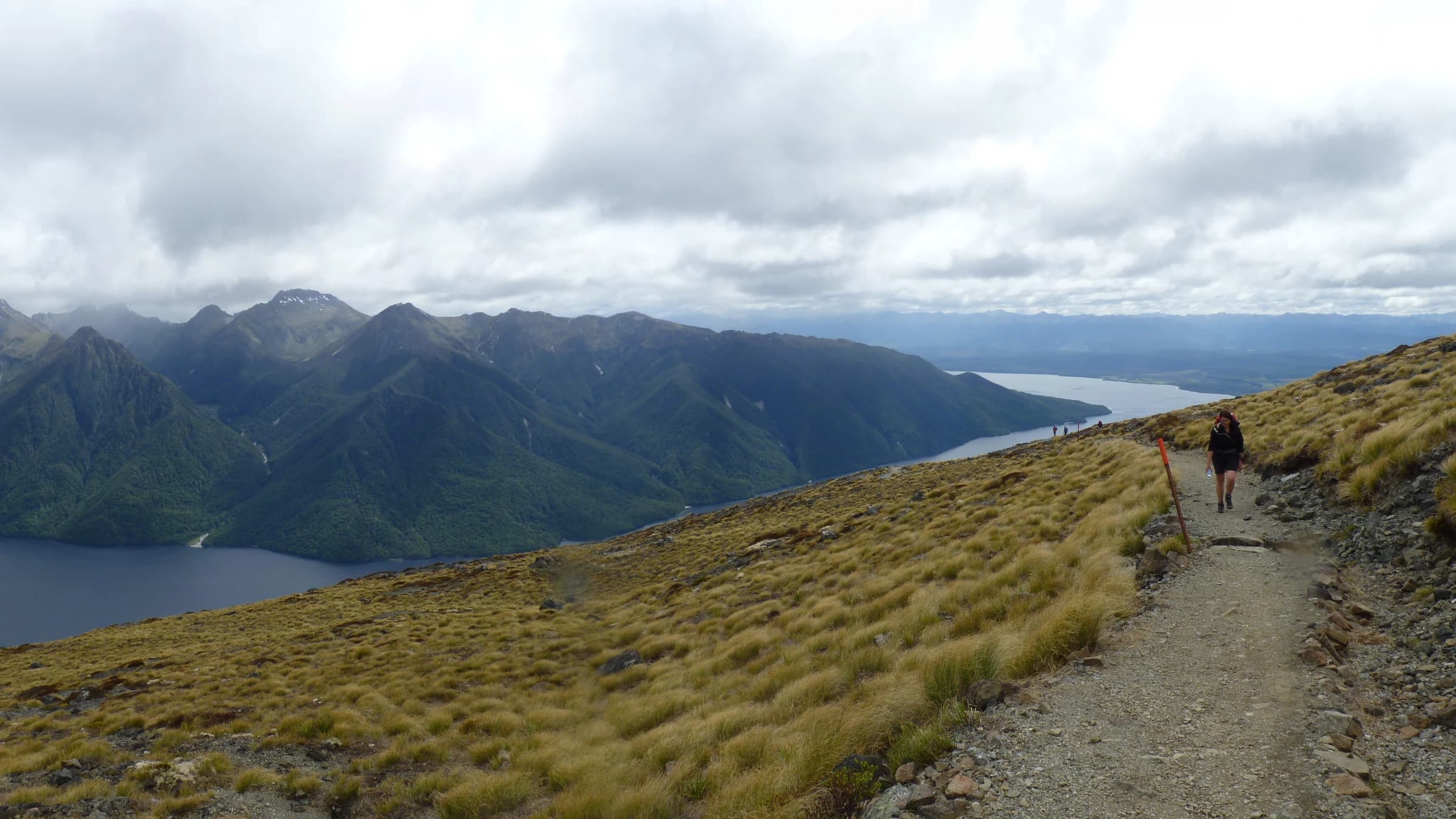 Kepler Track landscape certificate route preview in New Zealand