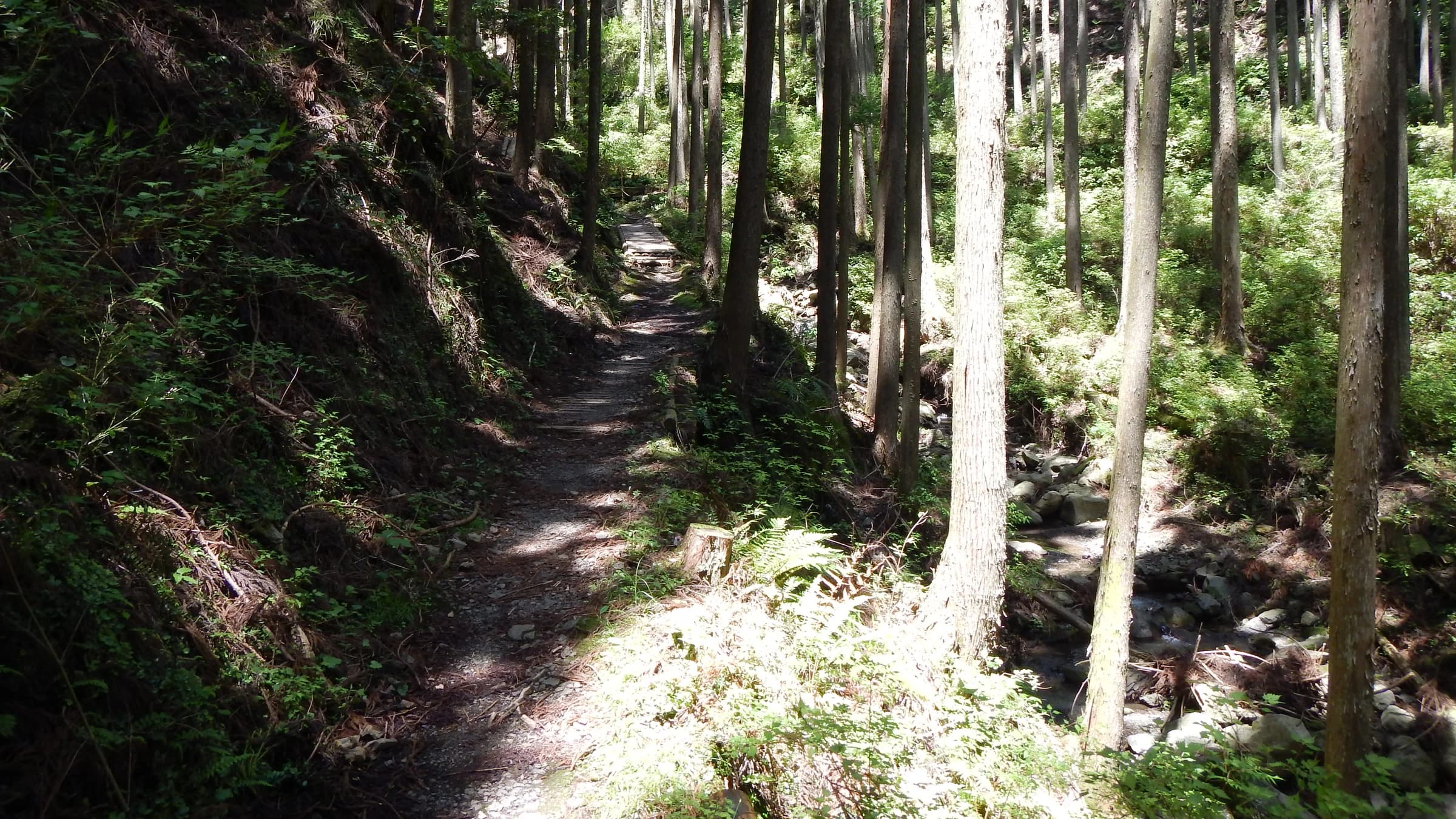 Kumano Kodo Nakahechi Route landscape certificate route preview in Japan
