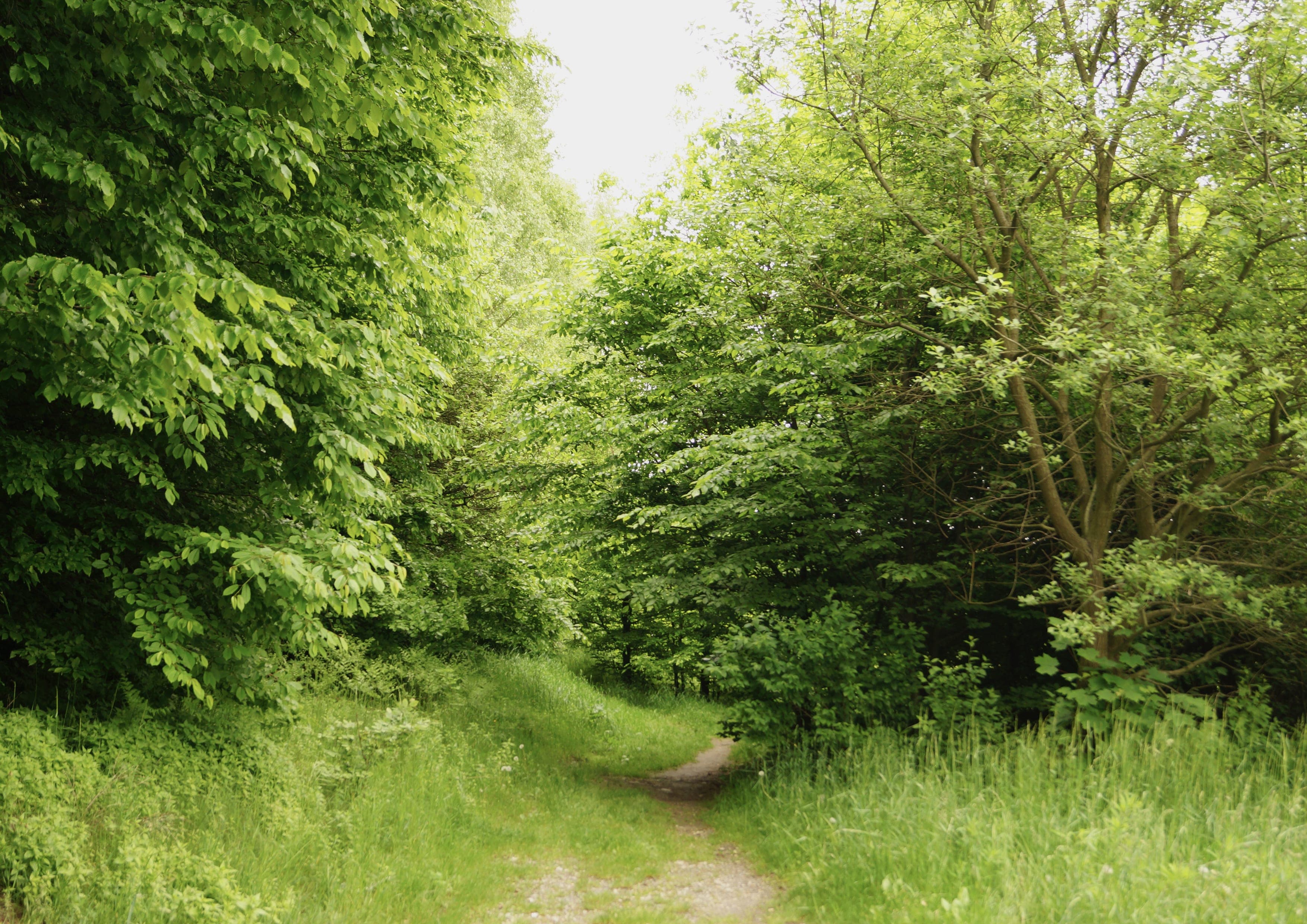 Lesser Poland Way of Saint James landscape certificate route preview in Poland
