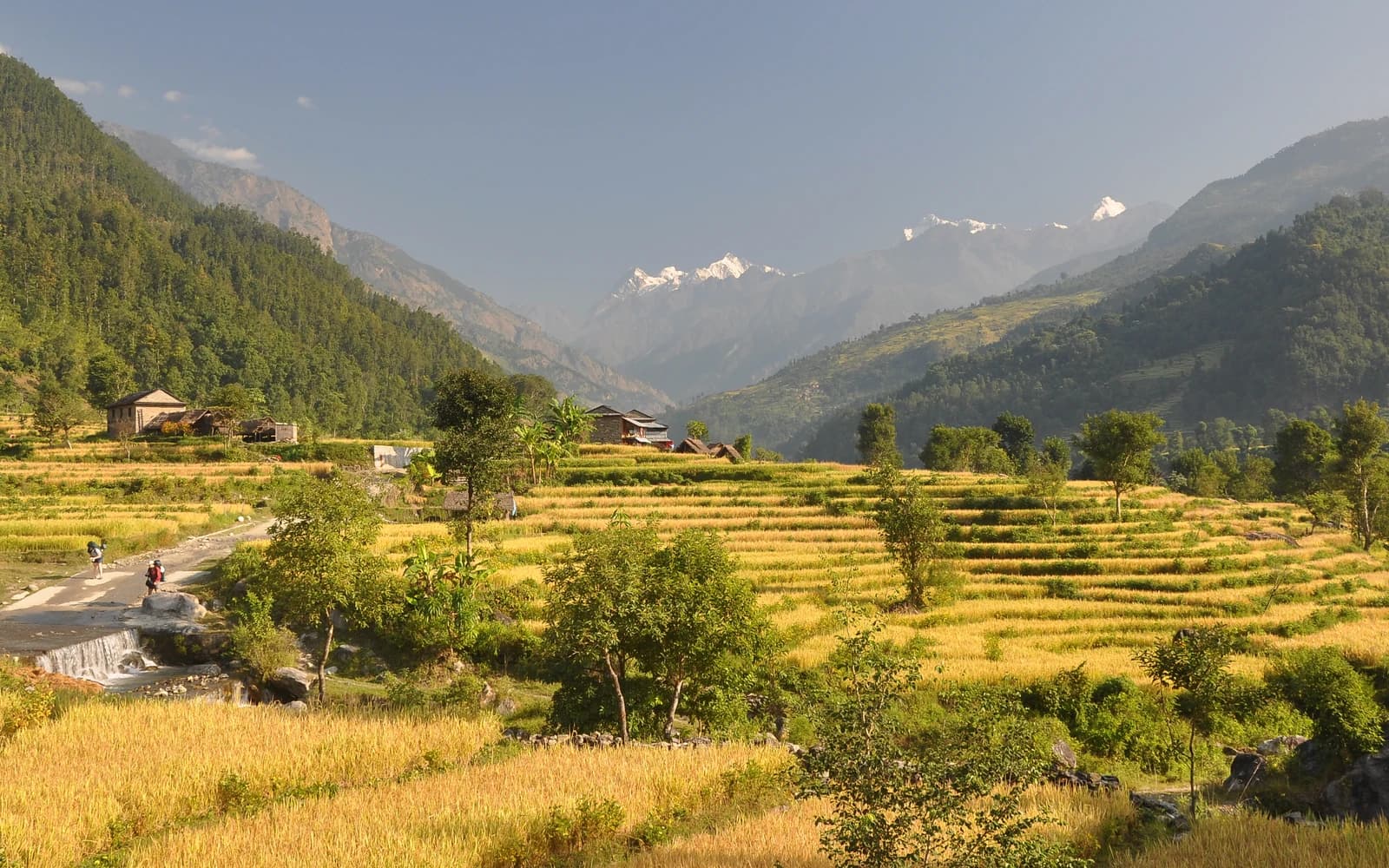 Manaslu Circuit landscape certificate route preview in Nepal