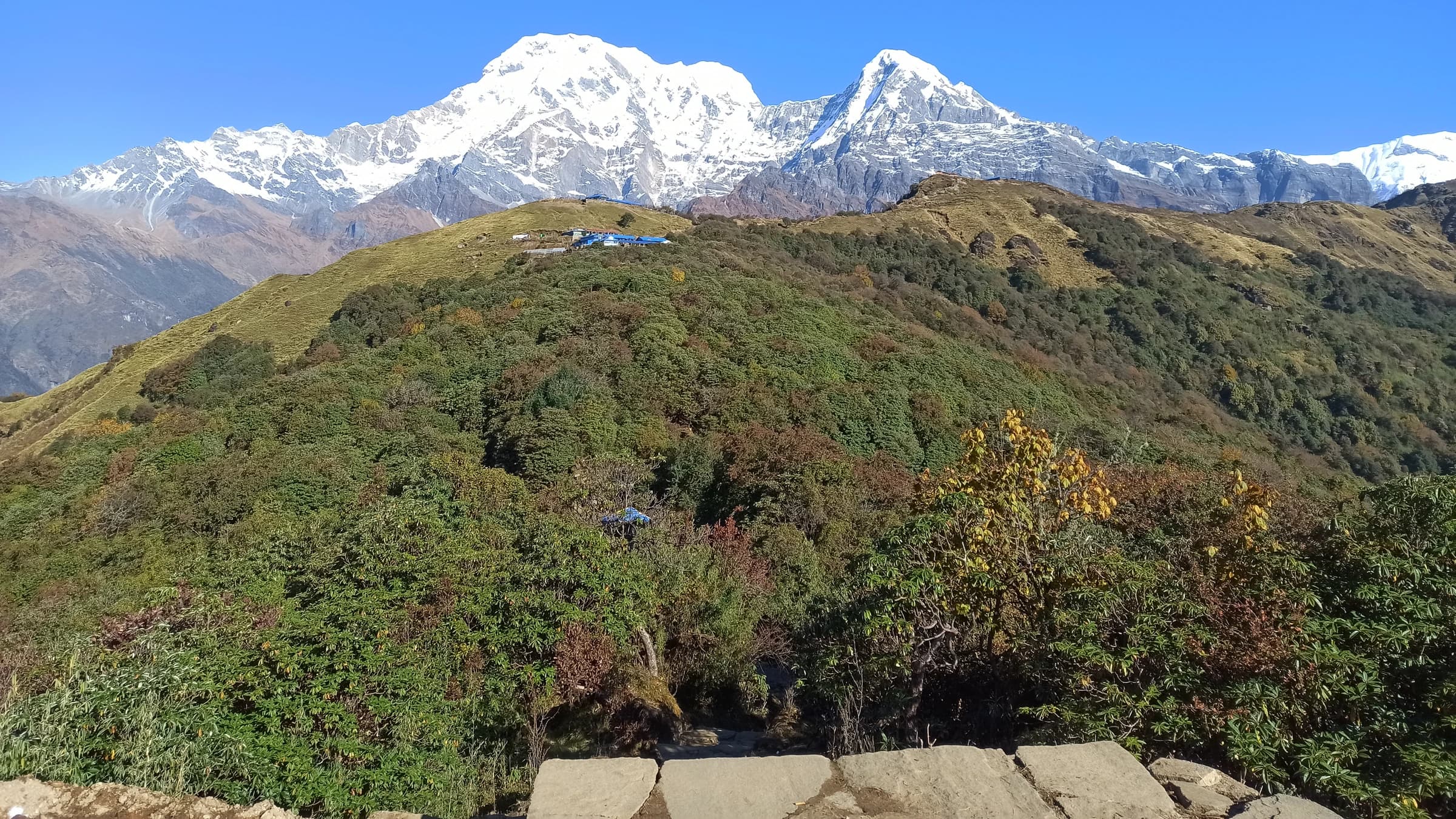 Mardi Himal Trek landscape certificate route preview in Nepal