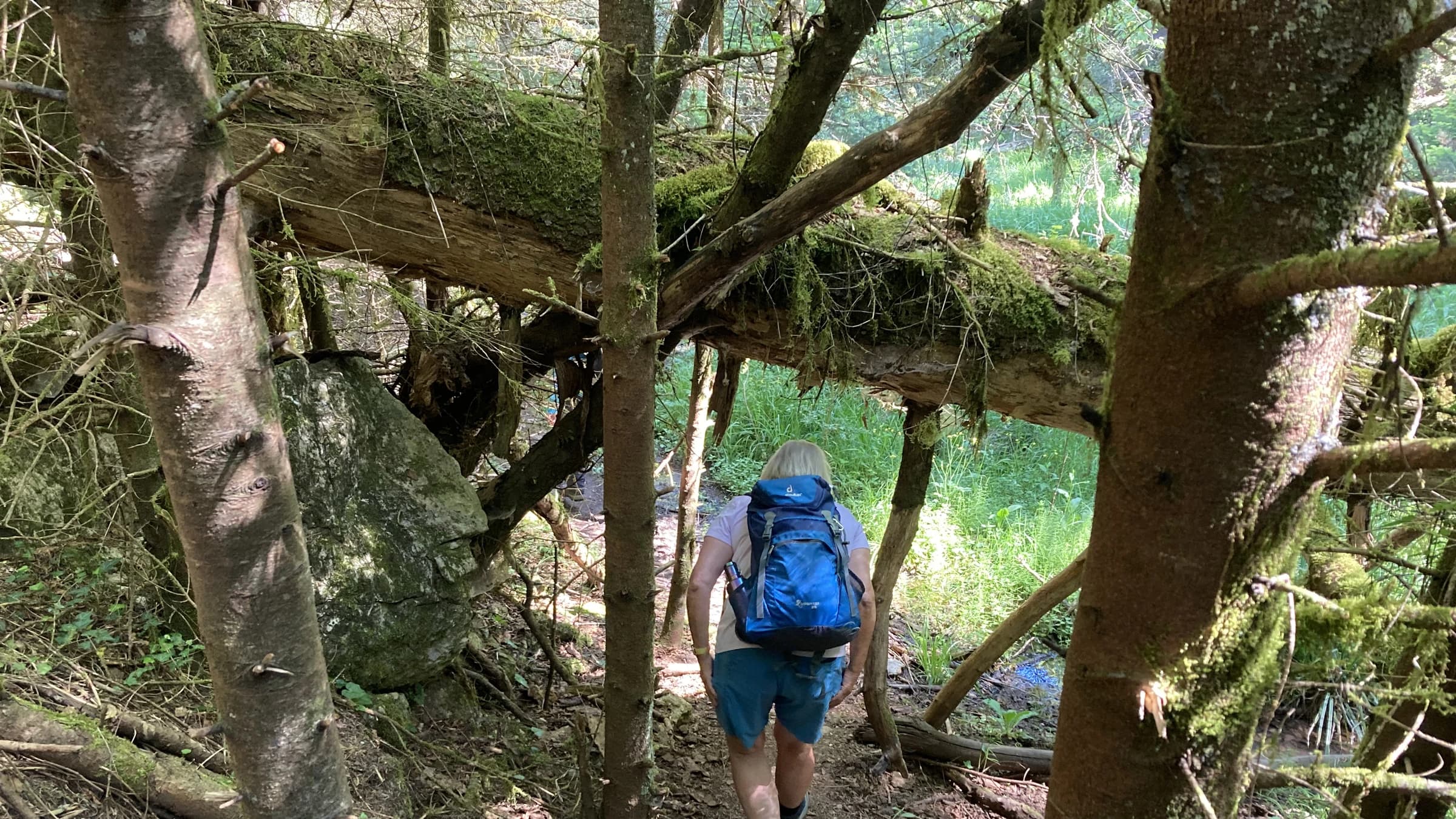 Menalon Trail landscape certificate route preview in Greece