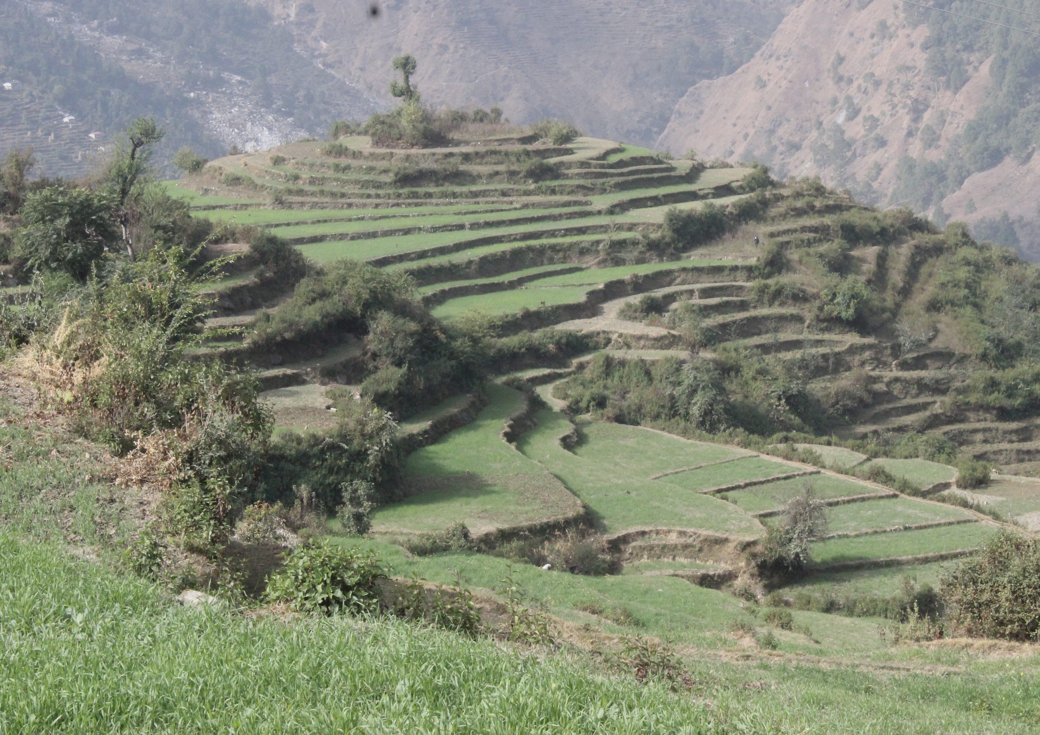 Nanda Devi East Base Camp Trek landscape certificate route preview in India