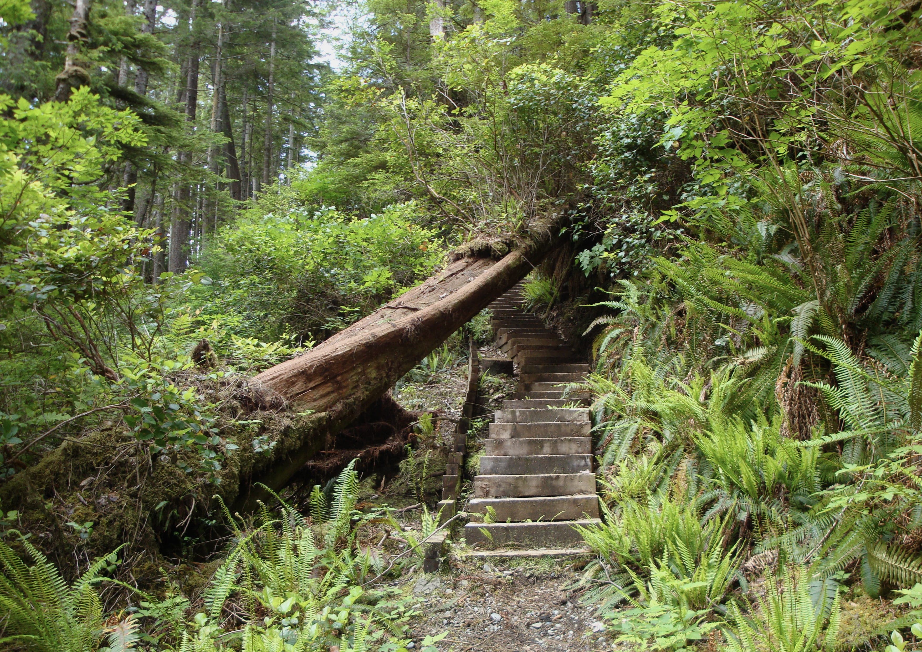 North Coast Trail Vancouver Island landscape certificate route preview in Canada