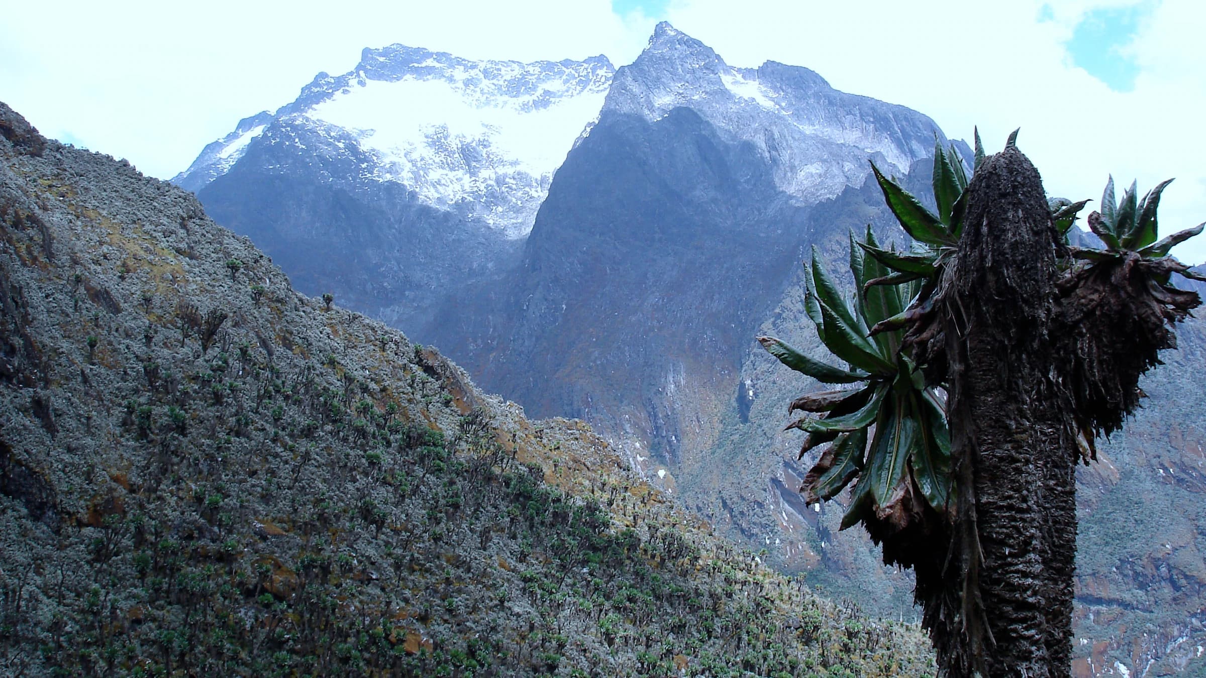Rwenzori Central Circuit landscape certificate route preview in Uganda