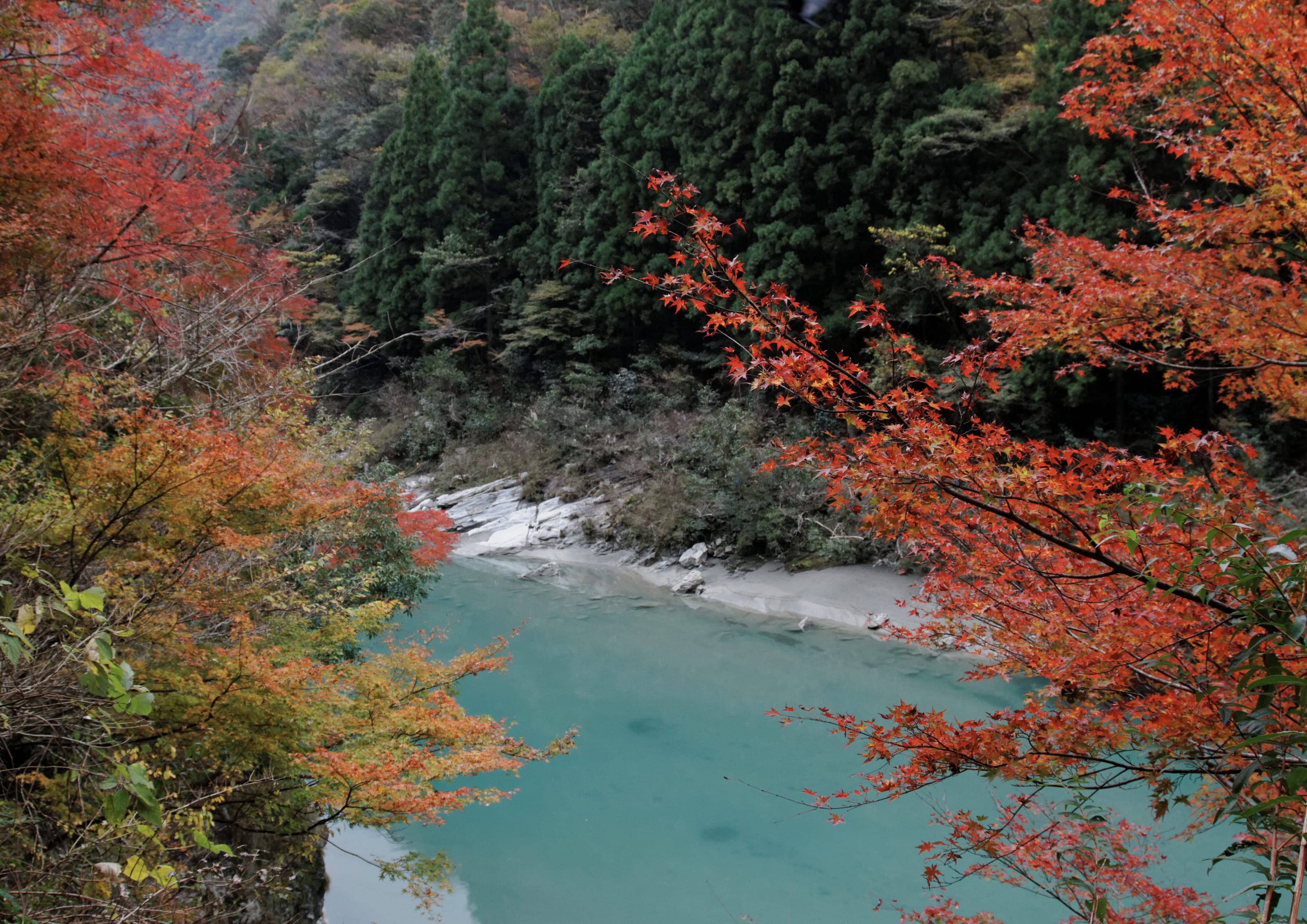 Shikoku 88 Temple Pilgrimage landscape certificate route preview in Japan