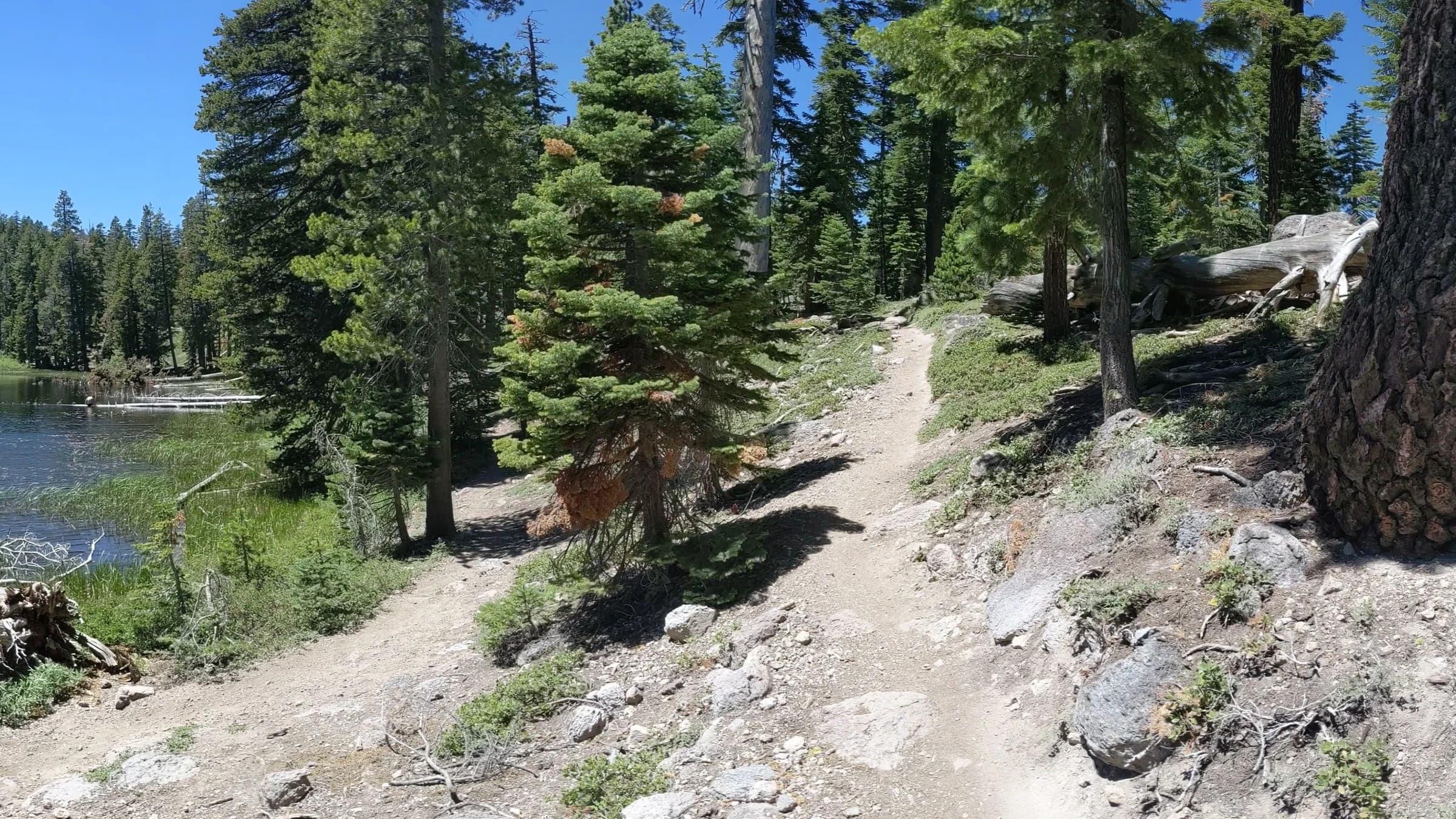 Tahoe Rim Trail landscape certificate route preview in United States