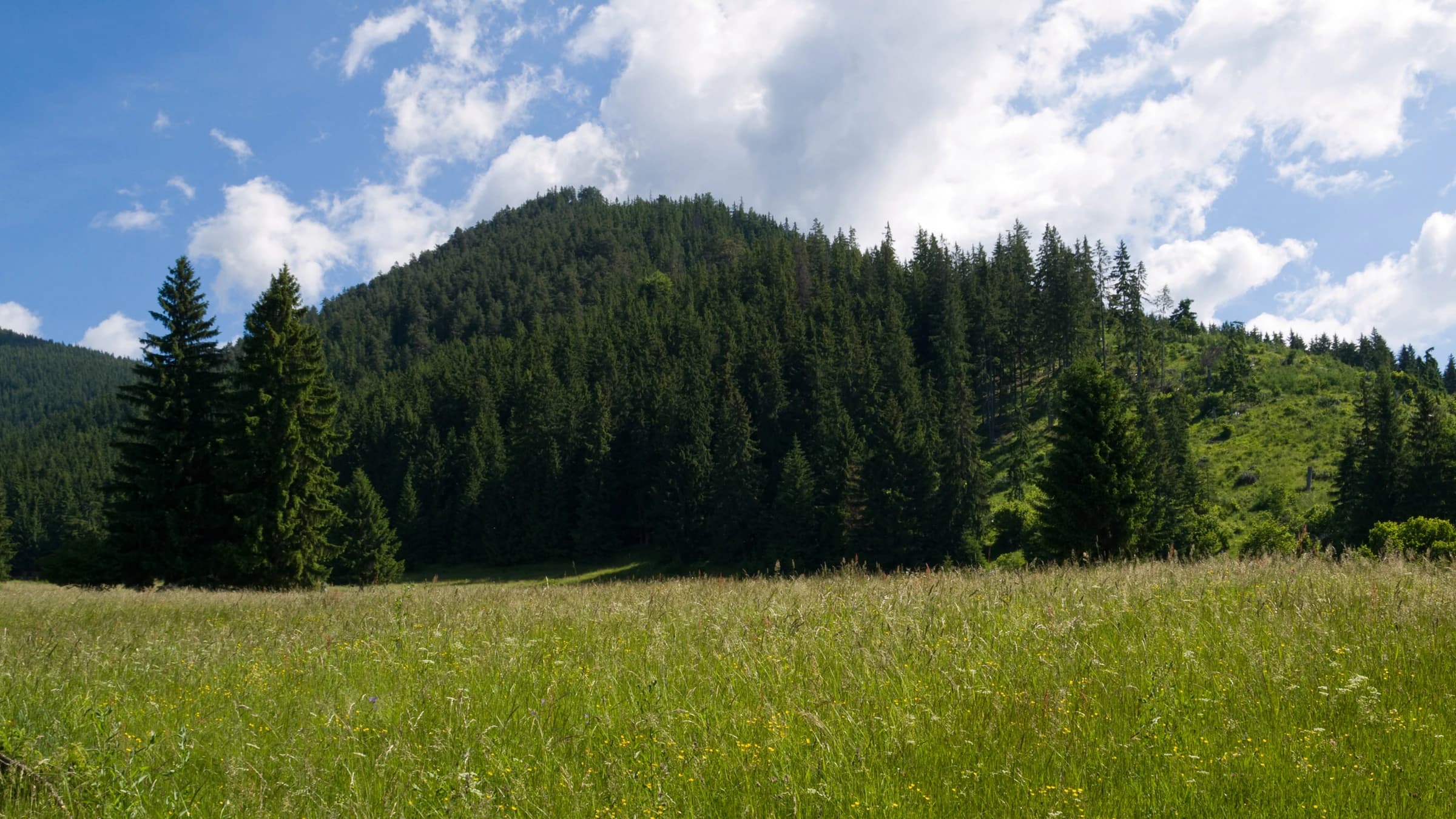Tatranská magistrála landscape certificate route preview in Slovakia