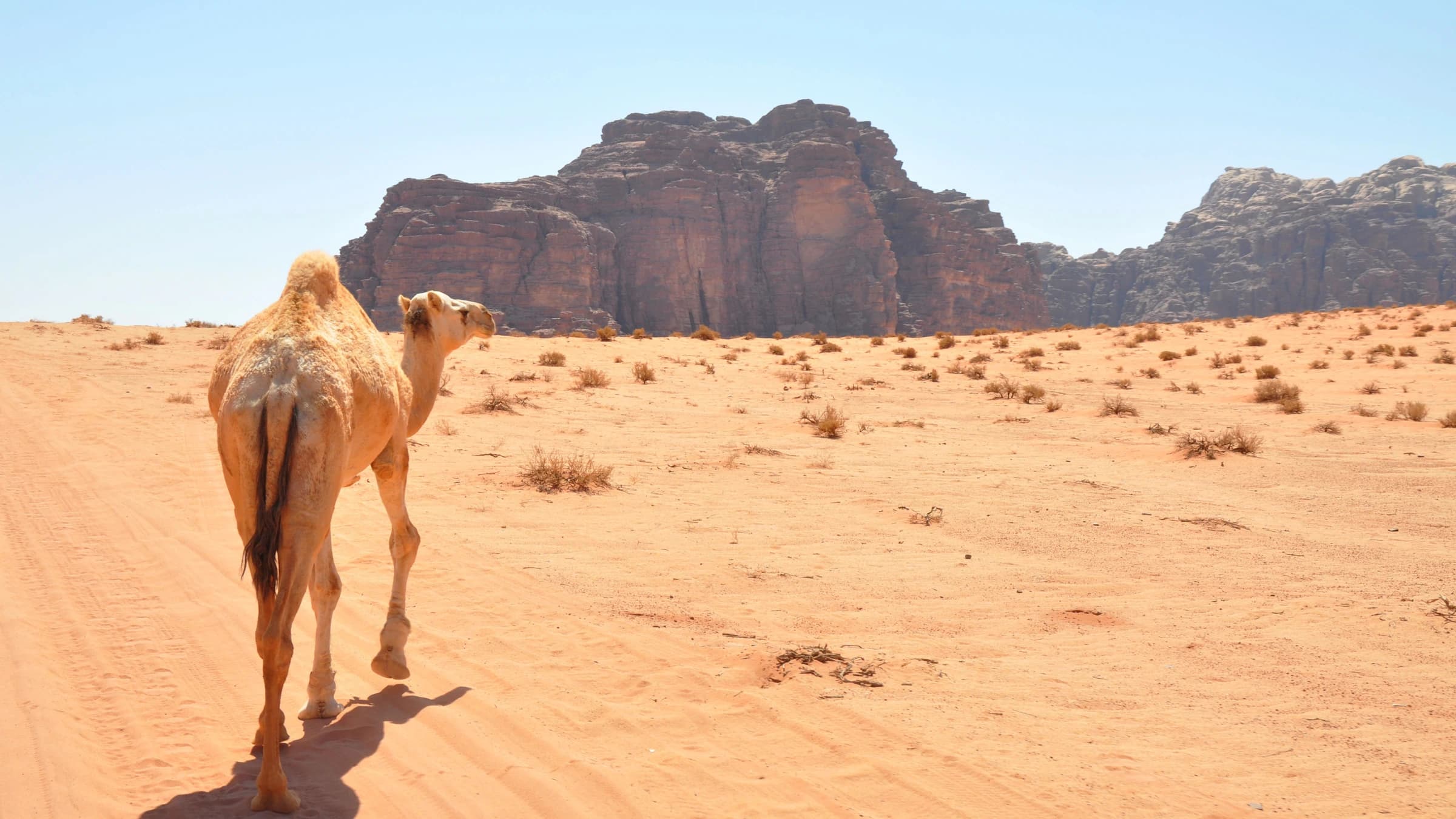 Wadi Rum Traverse landscape certificate route preview in Jordan