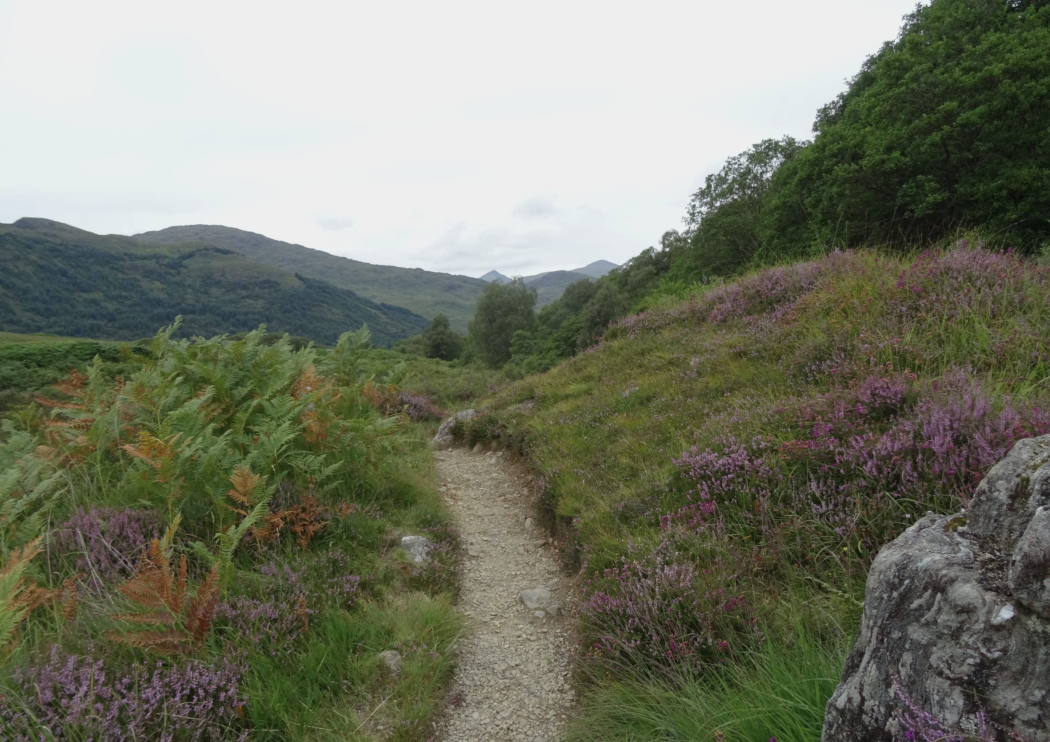 Long-distance Scottish trail through temperate forest and mountains