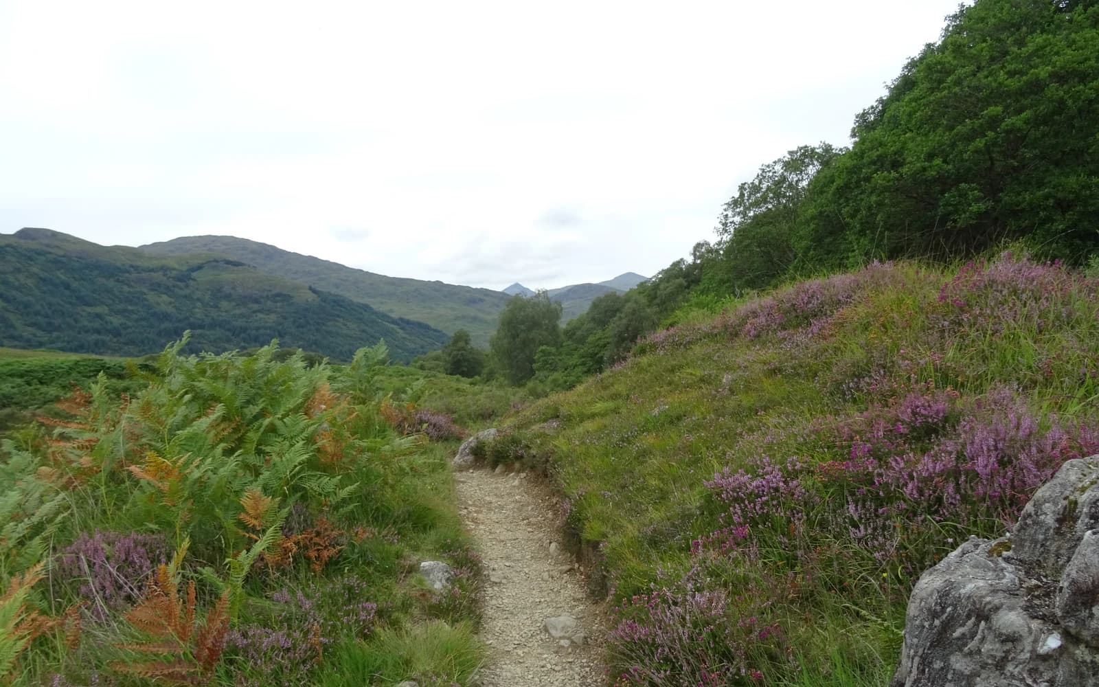 West Highland Way landscape certificate route preview in United Kingdom