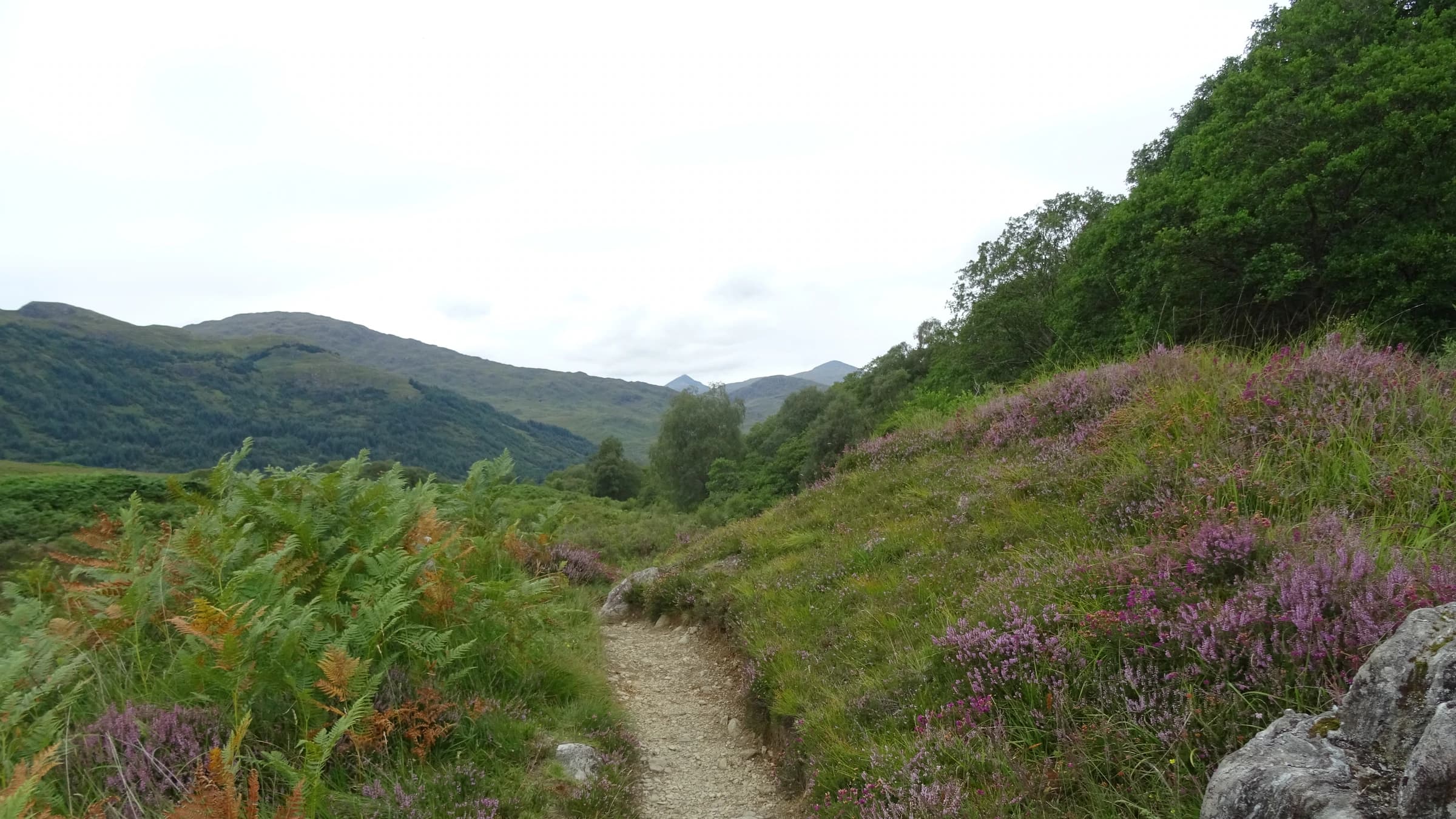 West Highland Way landscape certificate route preview in United Kingdom